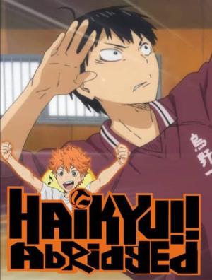 Haikyuu on sale full series